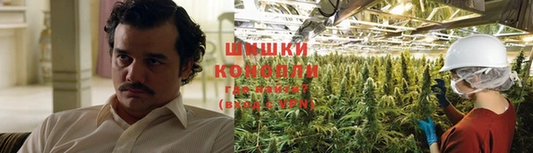 шишки Балахна
