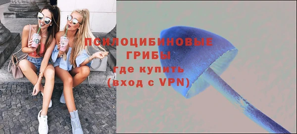 шишки Балахна