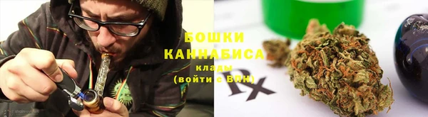 шишки Балахна