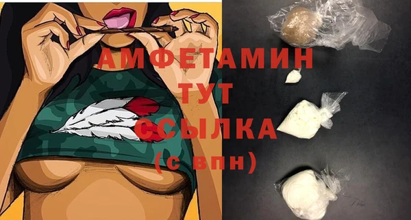 шишки Балахна