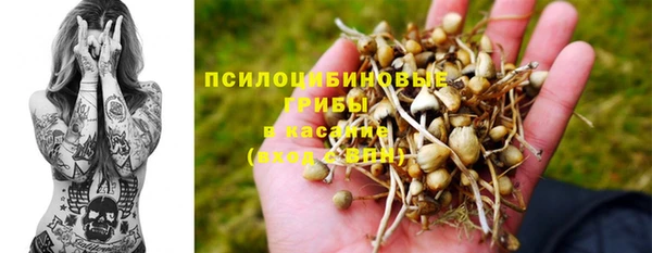 молекула духа Балабаново