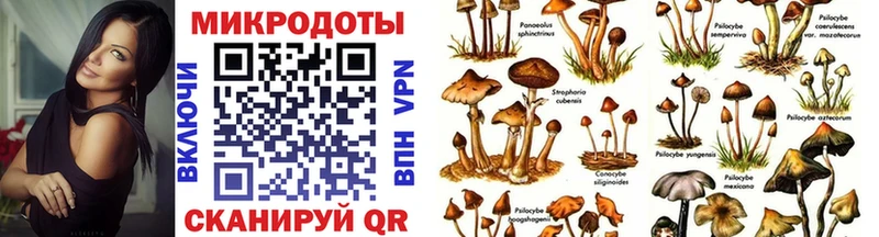 mega зеркало Кущёвская Псилоцибиновые грибы ЛСД купить наркоту