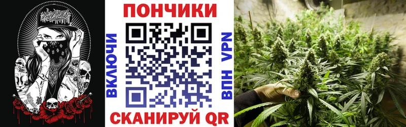 где найти наркотики  Кущёвская  Бошки Шишки конопля 